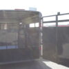 2025 MAVERICK 17' BUMPER PULL STOCK TRAILER - Image 8