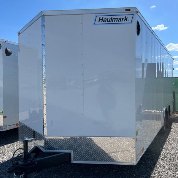 24 HAULMARK 8.5X20TADD ET