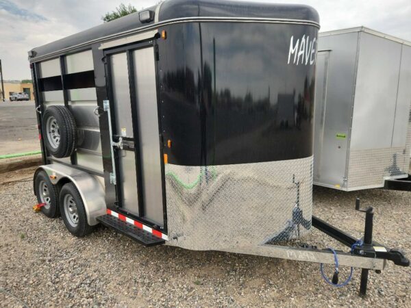 25 MAVERICK MAV-2HS HS