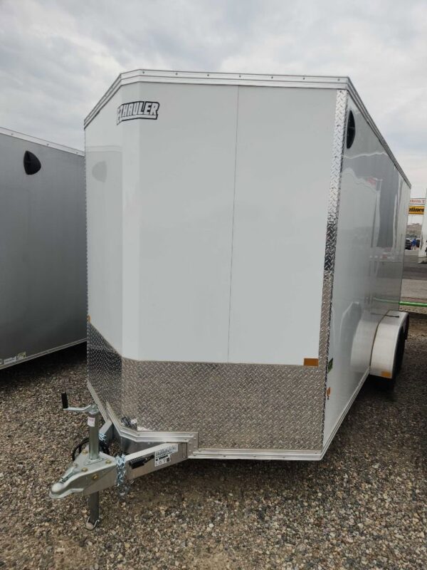25 EZ-HAULER EZEC7X16-IF ET - Image 2